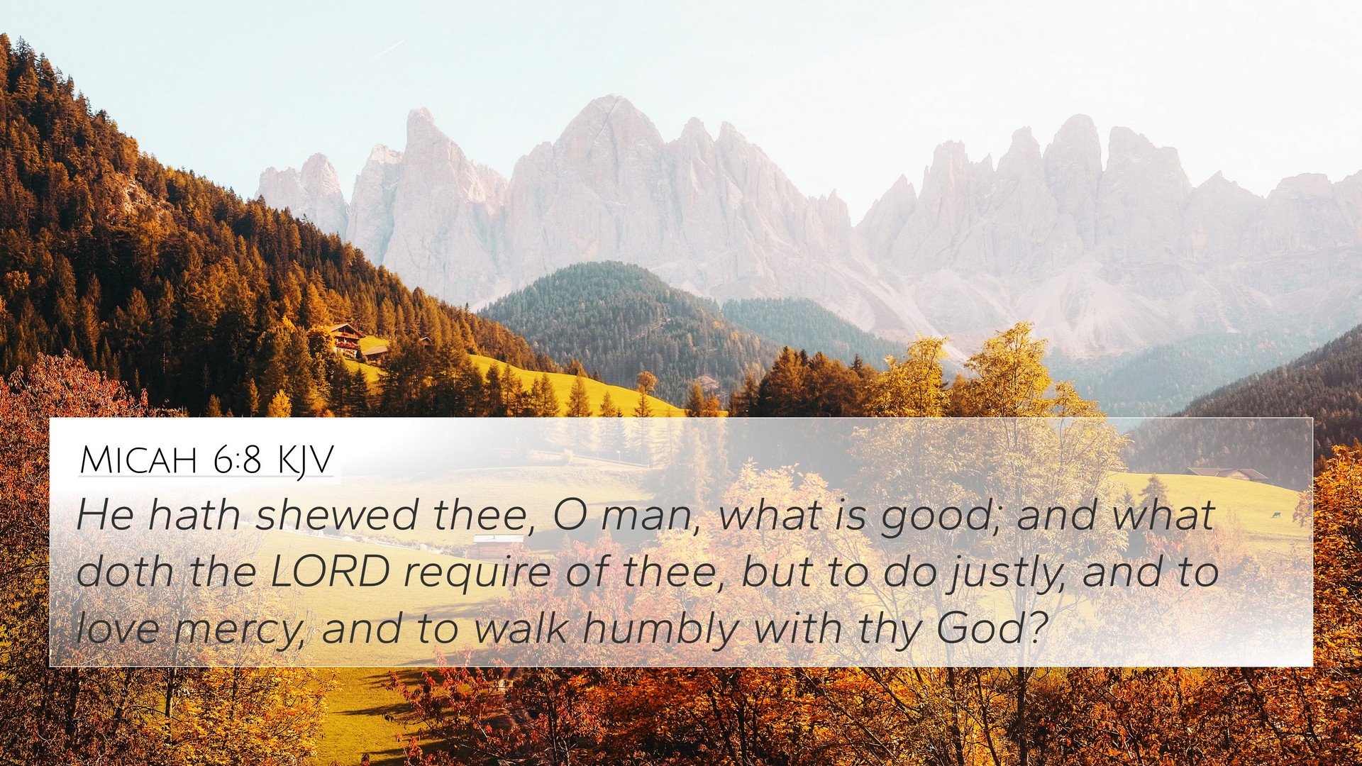 Micah 6:8 Bible Commentary