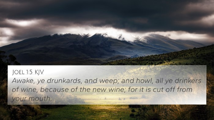 Joel 1:5 Explained