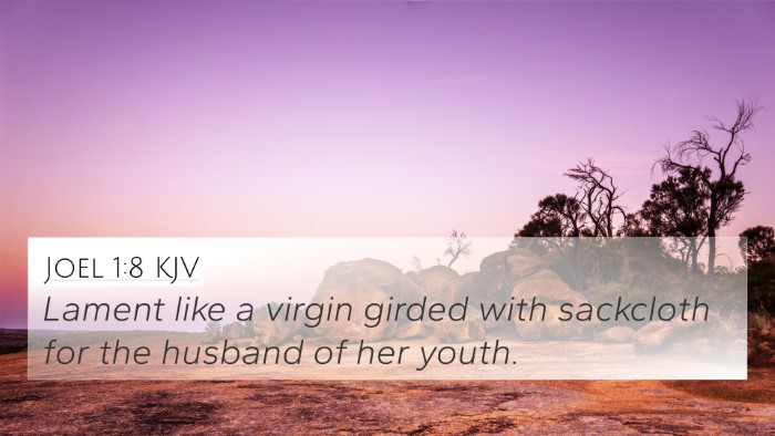 Joel 1:8 Explained