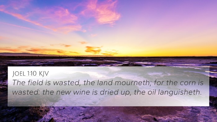 Joel 1:10 Explained