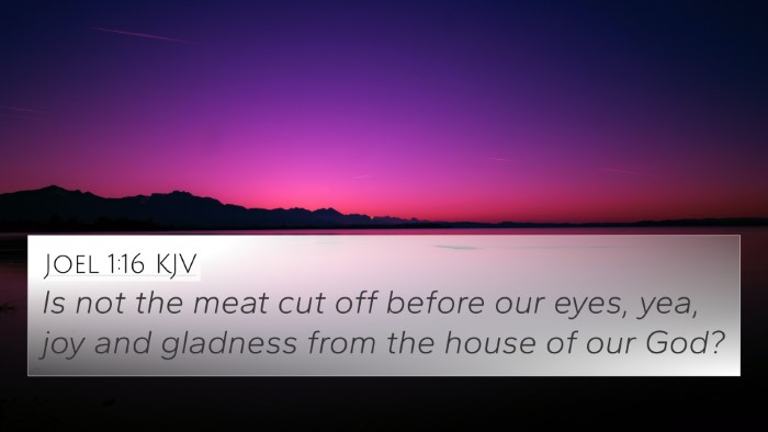 Joel 1:16 Explained