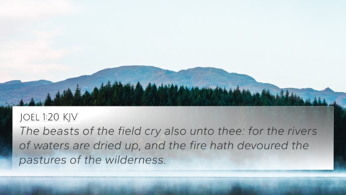 Joel 1:20 Explained