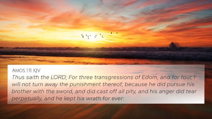 Amos 1:11 Explained