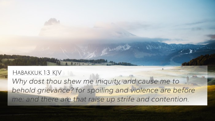 Habakkuk 1:3 Explained