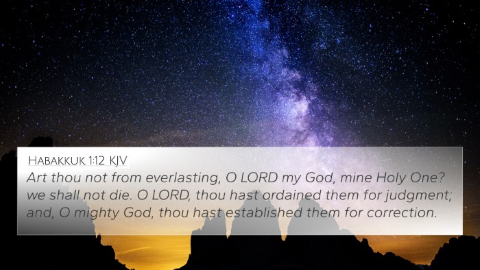 Habakkuk 1:12 Explained
