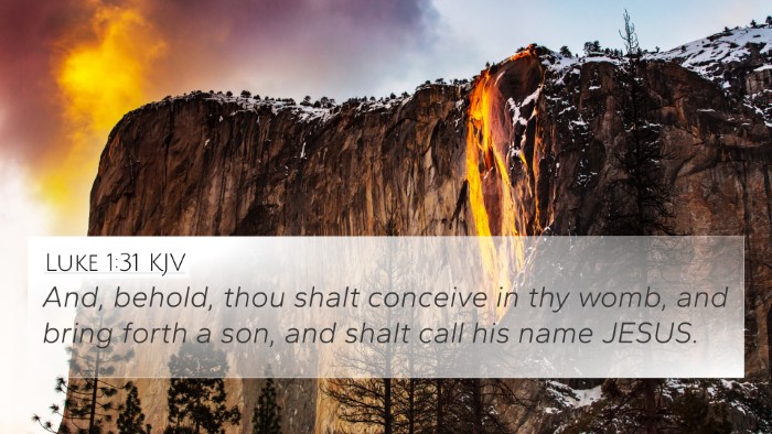 Luke 1:31 Explained