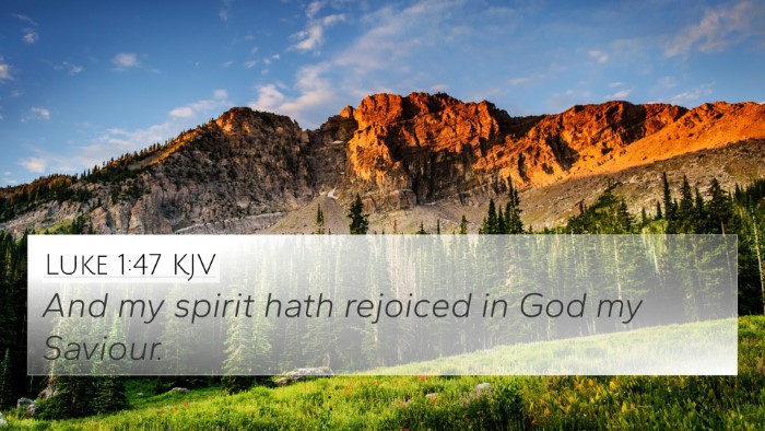 Luke 1:47 Explained