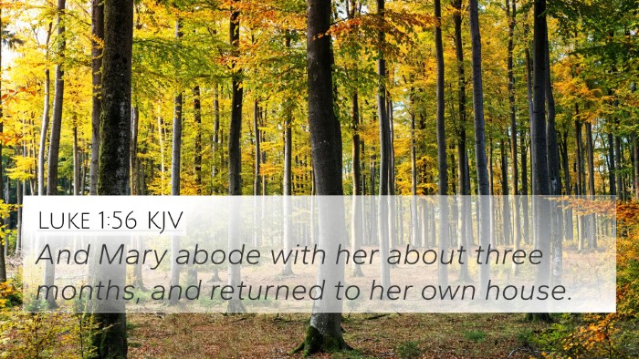 Luke 1:56 Explained
