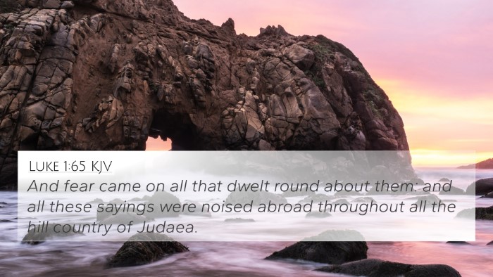 Luke 1:65 Explained