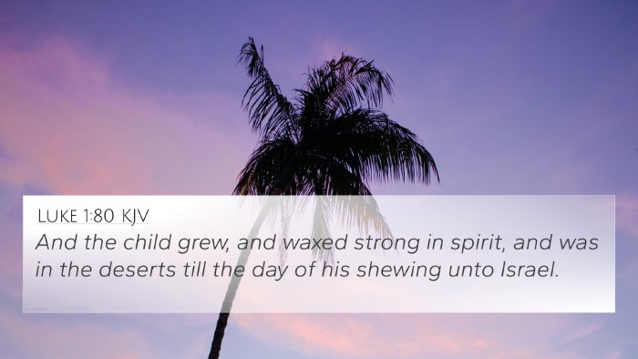 Luke 1:80 Explained